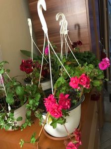 CC985E1B-ABC4-4E8E-BE10-80A3F8883BE4