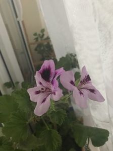 E9EE4AD1-6602-41E4-A989-CD29561A9095