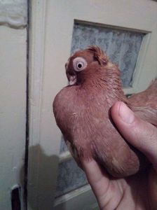 received_2057509021143916