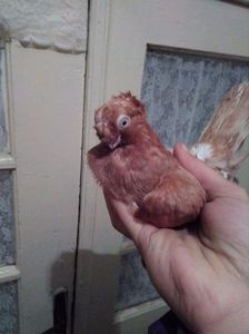 received_2057509241143894