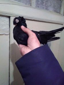 received_2057509081143910