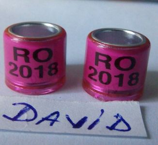 2018-roz 8mm...-1 leu