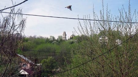 Monumentul eroilor, vedere de la fereastra