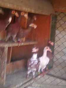 Photo0942