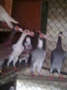 Photo0948