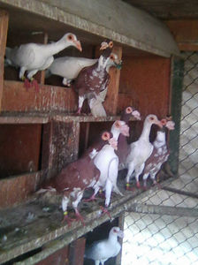 Photo0952