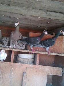 Photo0954