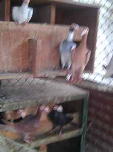 Photo0956