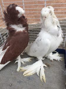 9DBD460D-F9E7-44F5-A20E-26BE045C4AC8