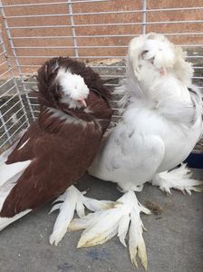 415981E9-C3A2-4A5E-9D0B-061EF0B98039