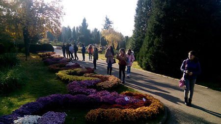 iasi 2017