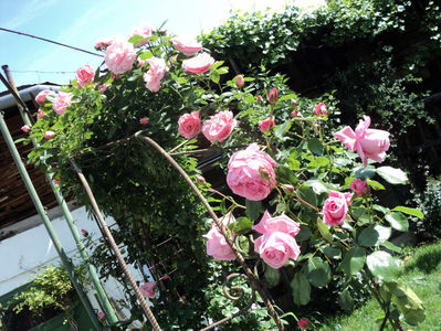 poze 2014 176
