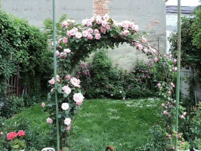 poze 2014 285