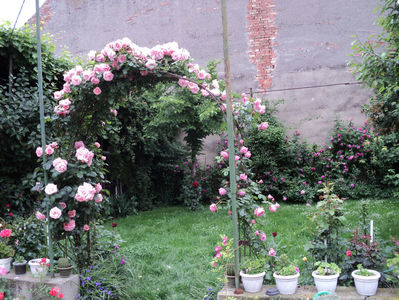 poze 2014 317