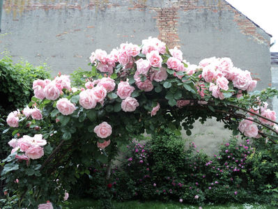 poze 2014 352