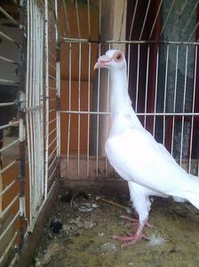 Photo0972