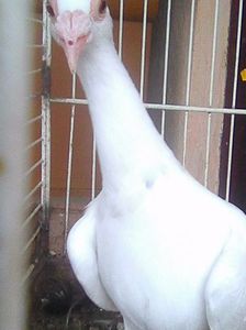 Photo0973