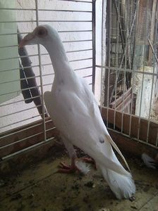 Photo0974