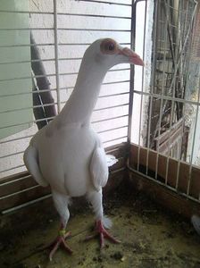 Photo0975