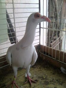 Photo0976