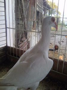 Photo0977