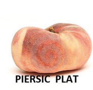 PLATICARP ( poza net )