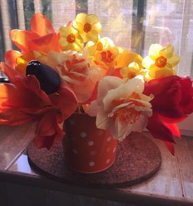 IMG-20170422-WA0002