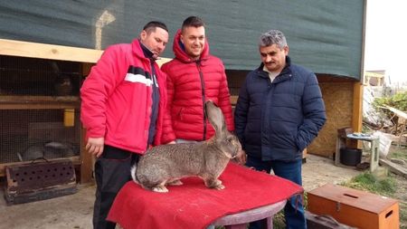 Lui Liviu se pare ca-i place:))