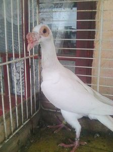 Photo1013
