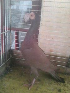 Photo1018