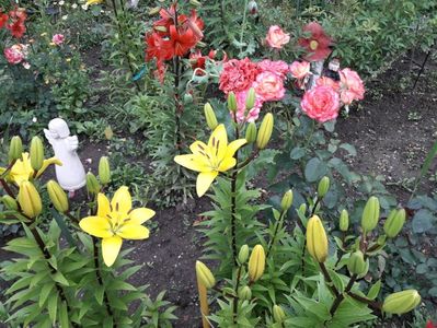 20170703_101627_Richtone(HDR)