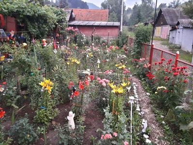 20170706_212833_Richtone(HDR)