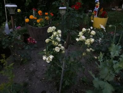 20170713_213328_Richtone(HDR)