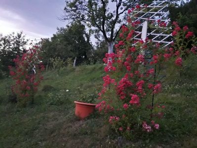 20170713_213035_Richtone(HDR)