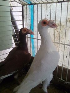 Photo1044