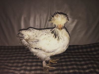 FB477615-6B65-4B71-AC92-64AEE09467FD