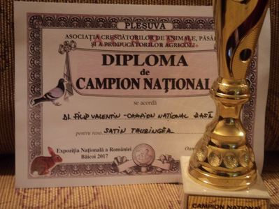 campion national Satin thuringen-Baicoi 2017