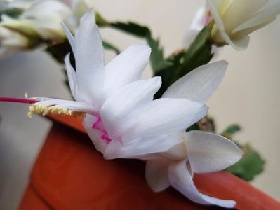 thumbnail (33)