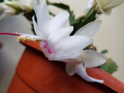 thumbnail (34)