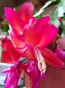 thumbnail (7)