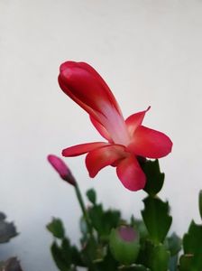 thumbnail (25)