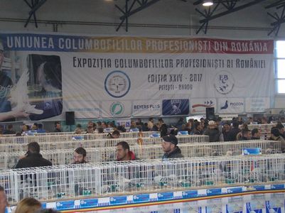 P1010037