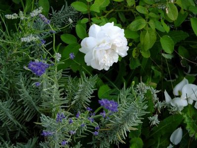 Winchester Cathedral