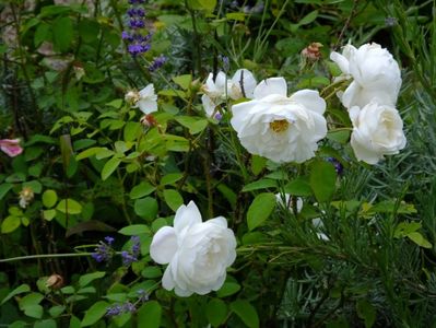Winchester Cathedral