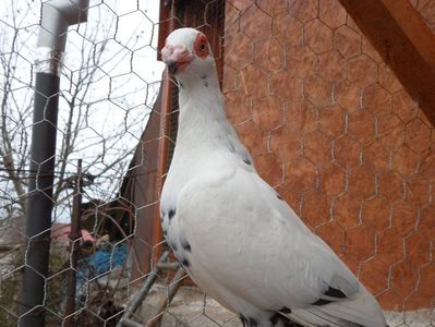 SAM_5761