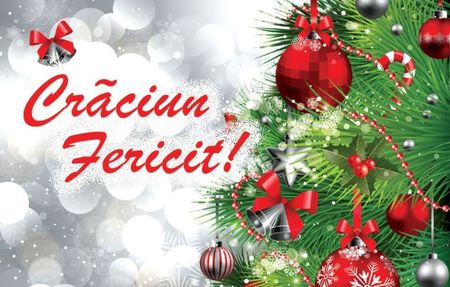 craciun-1356120307