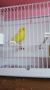 20171225_115211(0)