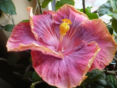 P1360041