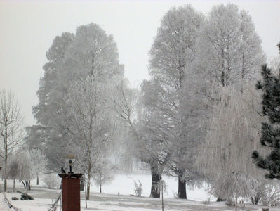 ; Parcul Herastrau, februarie 2014.
