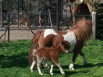 20160423_110801 - Copy